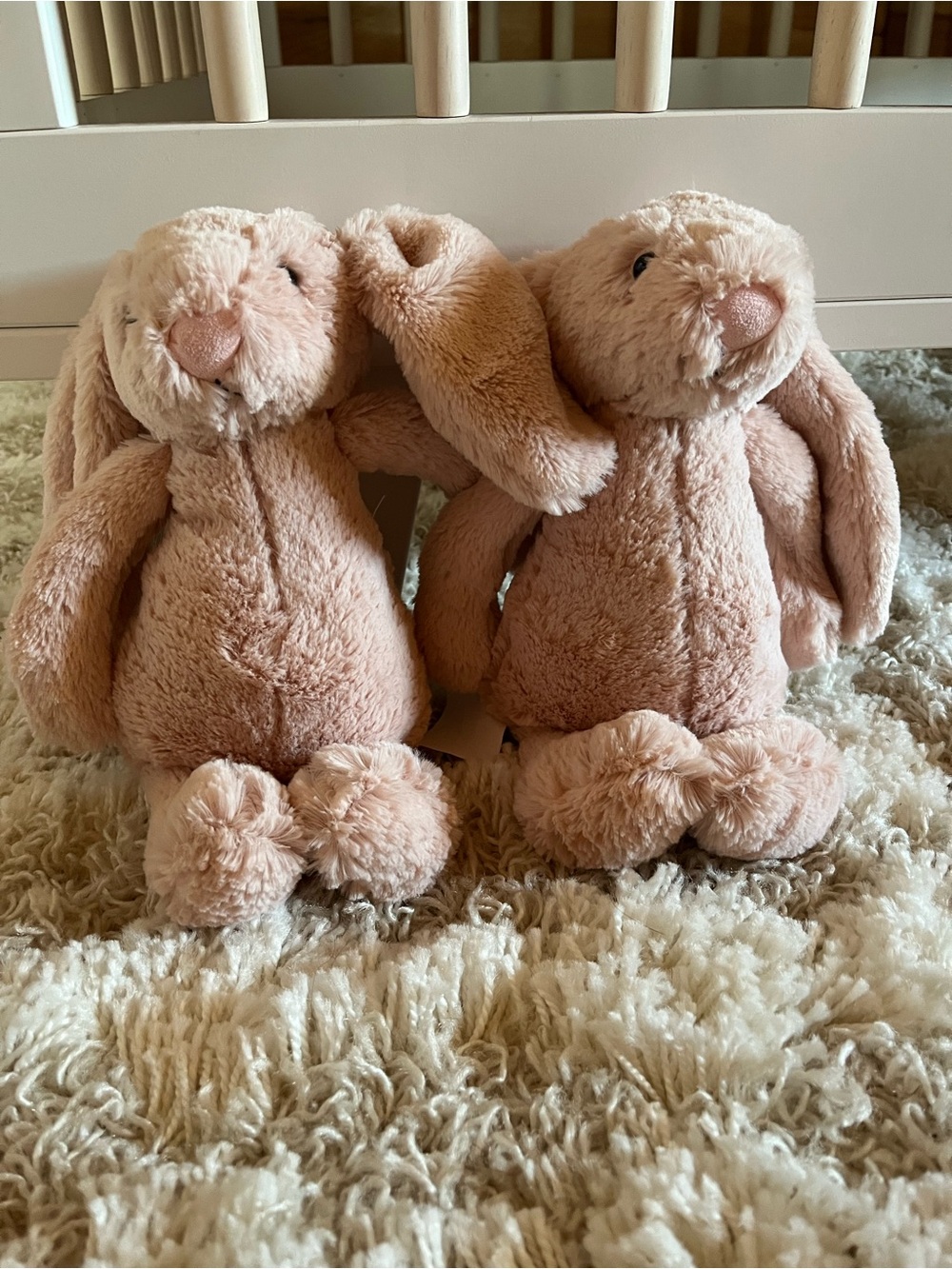 Snug Plush Blush Pink Bunny Duo - Soft Cuddly Stuffed Toys